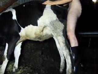 Xxx Sex Cow - Man fucking his farm cow / Zoo Tube 1