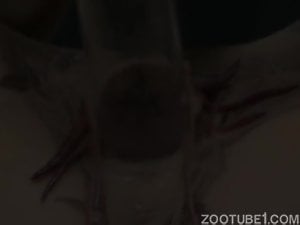 [Genki] GETN027 -  Earthworm Maggot Cockroach