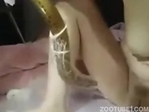 Snake In Ass Animalsex - Asian Porn Videos / Most Viewed / Zoo Tube 1