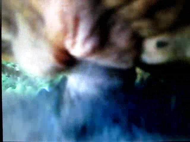 640px x 480px - Hummmm cow pussy / Zoo Tube 1