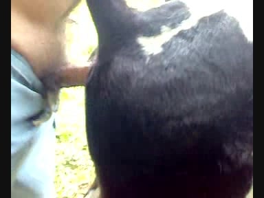 Www Xxx Cow Mp4 - Young cow job / Zoo Tube 1