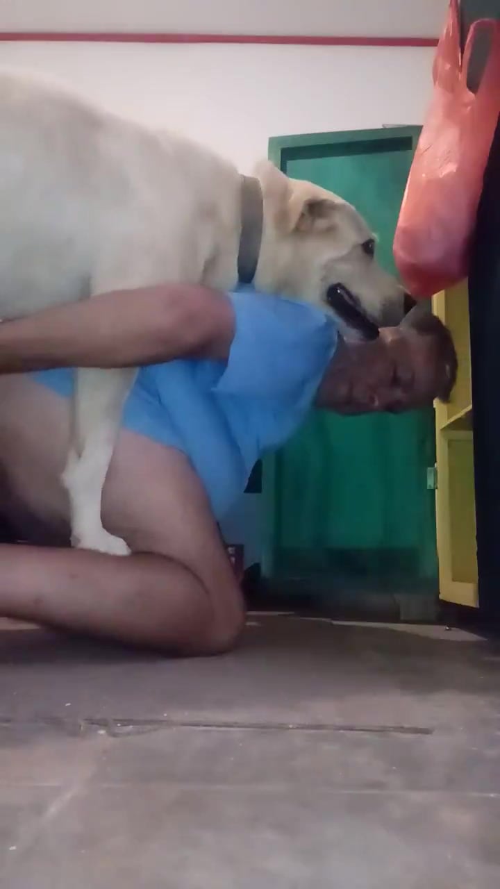 Animal Breeding Porn - MY DOG BREEDS ME / Zoo Tube 1