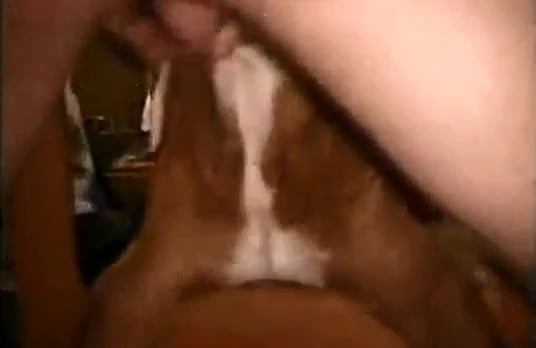Dog deepthroat porn