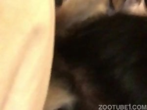 Jenessa Tejano sucking her dogs dick