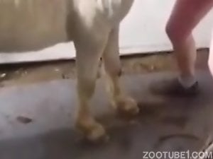 Horse Fucking Girl Indian - Zoophilia Search Results for Horse / Zoo Tube 1