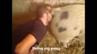 Pigmansex - Showing Porn Images for Sow pig man sex porn | www.xxxery.com