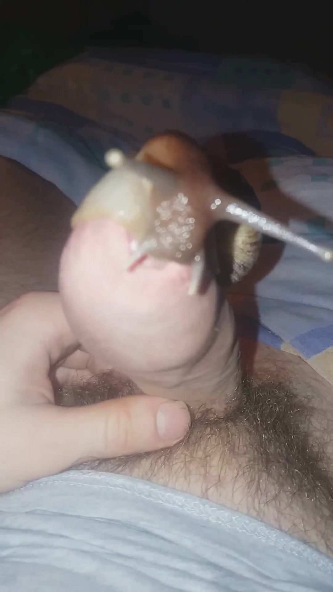 Snail suck me until i blast.. no hands