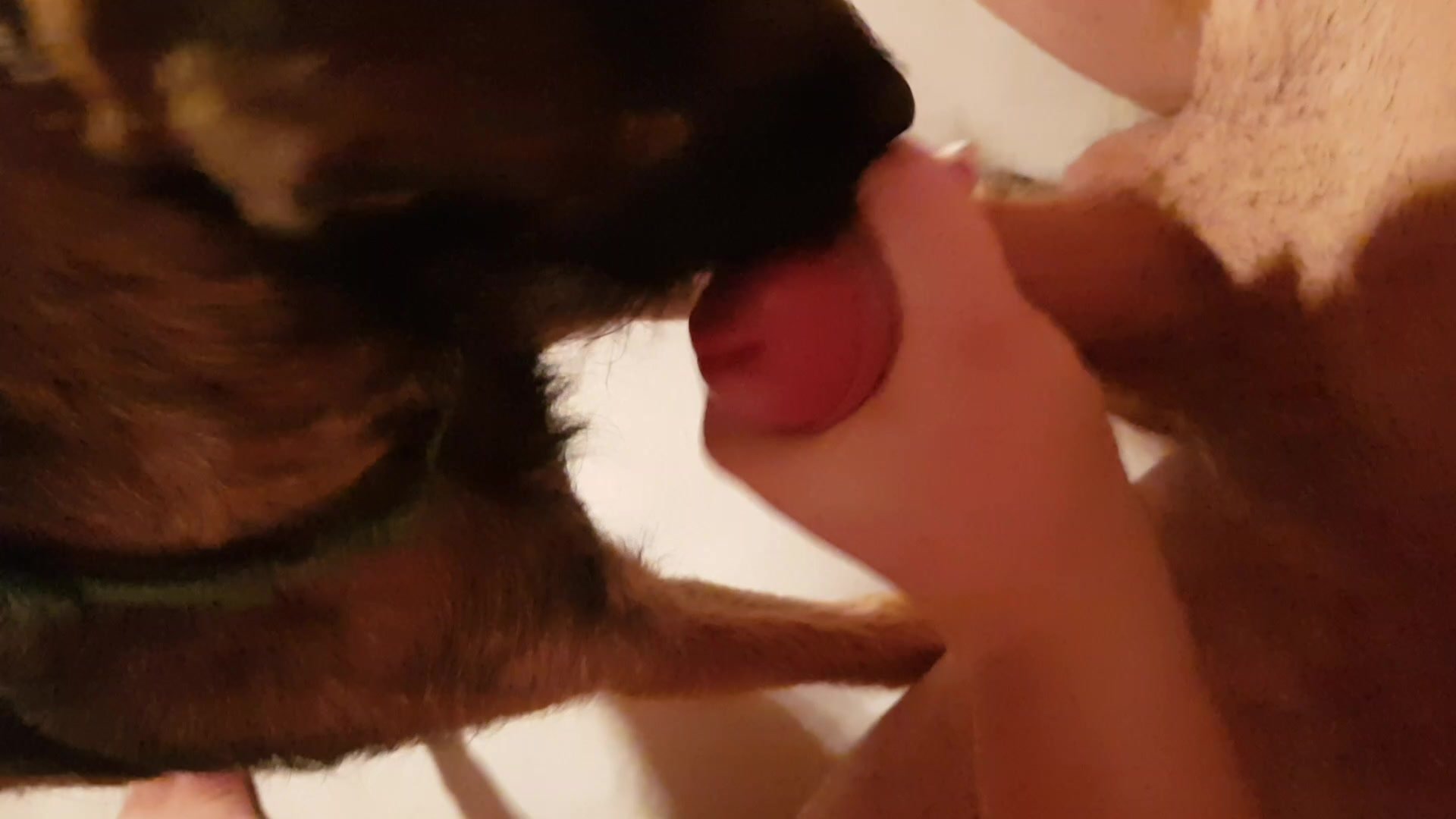 Dog Girl Dono Ki Chudai Video - Gf and dog make me cum