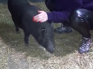Woman pig fucks 
