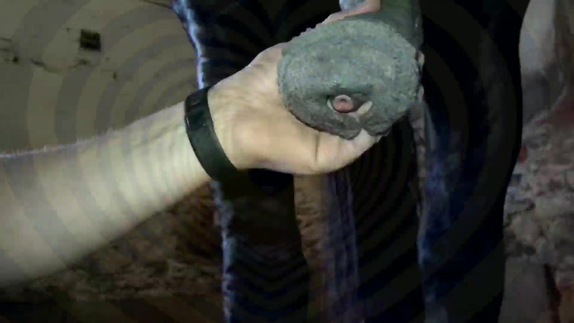 Horsey Hypno