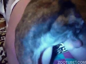 Xxx Sixvod - Dog Porn Videos / Page 18 / Zoo Tube 1