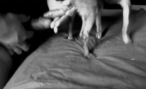 Video do Marcelo....Gay