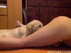 Teen girl gives her pussy to her puppy II part