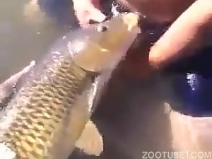 Fish Porn Pussy - Sea animals Porn Videos / Zoo Tube 1