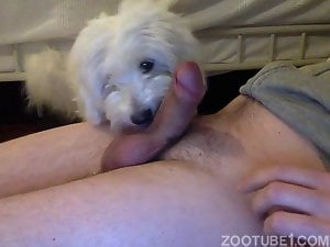 My dog licking me again and I cum. Feeding her.