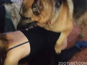 my wife love dog porn