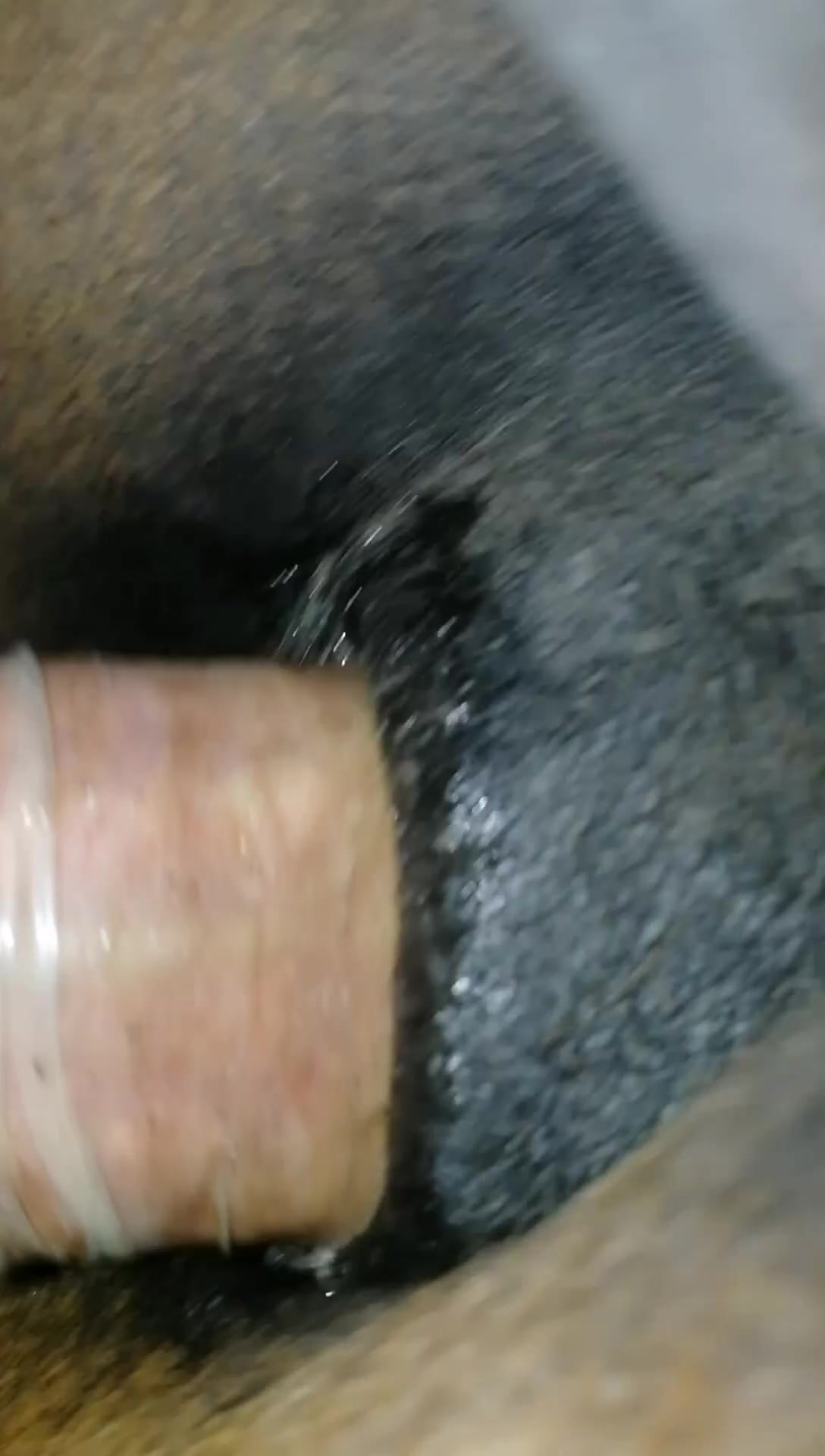 Horse Anal Porn - anal with horse / Zoo Tube 1