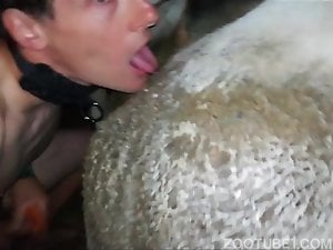 slave boy fucking cow and eating cow shit animal scat