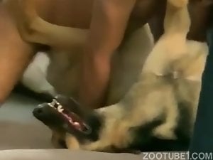 Girls Caught Fucking Dog On Hidden Cam Dog Sex Animal Sex Online