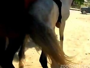 deep horse mating. big cumshot and spill