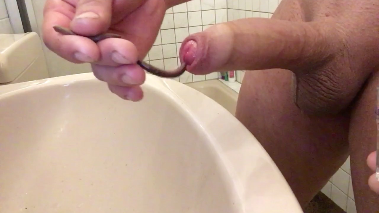 Worm in Dick porn / Zoo Tube 1