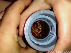 Super hot brunette puts worms in her pussy
