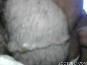 Rectangle Diligence Couple Gay Porn Videos / Longest / Zoo Tube 1