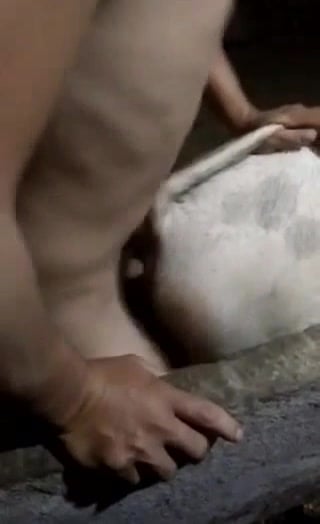 Porn movie Gangbang with houston