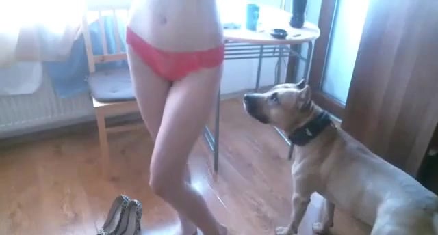 Pussy licked by dog