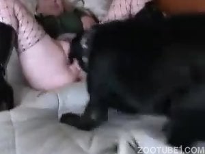 Fucking with doggie