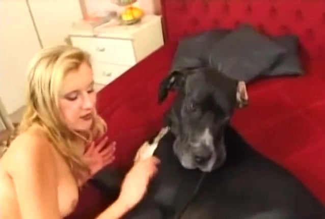 Xxx Hola Dog - Home porn zoophilia between a blonde and her dog / Zoo Tube 1